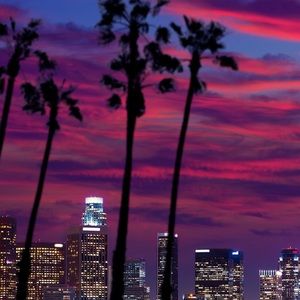 Meet your Posher, Michele